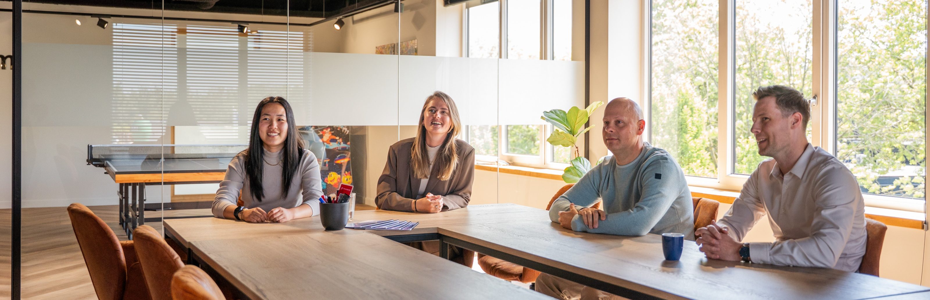 Traineeship Procescoördinator of Systems Engineer